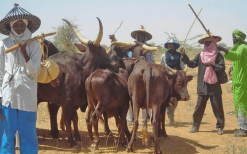 Bandits are displaced herdsmen — MIYETTI ALLAH