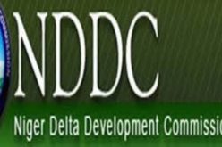 N-Delta losing patience with NDDC forensic audit – Group