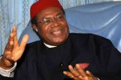 Food blockade: We shouldn’t be held to ransom by North if … – Nwodo