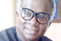 How Nigeria can repay huge Chinese loans — VON DG