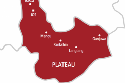 ITF replies MURIC, says DG not nepotic