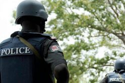 Insecurity: Nigeria’s situation no longer acceptable, create State Police – PGF DG