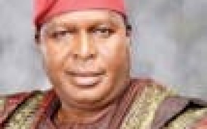 Imported foods damaging health of Nigerians’ health — Runsewe, NCAC DG