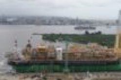 FG approves 39 licences for fish imports