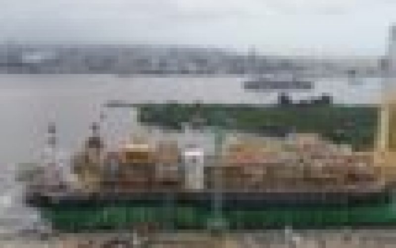FG approves 39 licences for fish imports