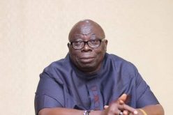 Herders/Farmers Crisis: Ekpenyong recommends using Sambisa forest for ranching