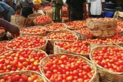 [VIDEO]Mile 12 Market: How food blockade affected prices of tomato, pepper, onion