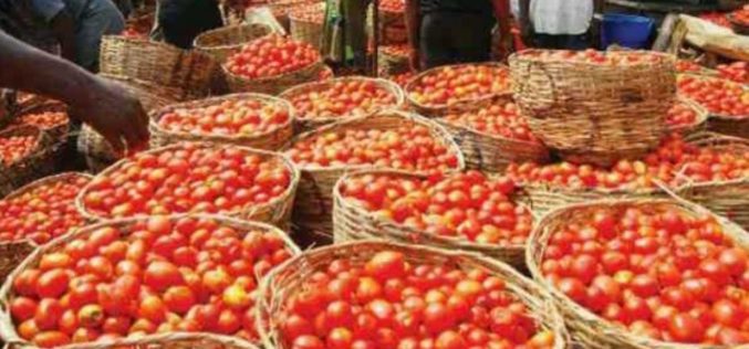 [VIDEO]Mile 12 Market: How food blockade affected prices of tomato, pepper, onion