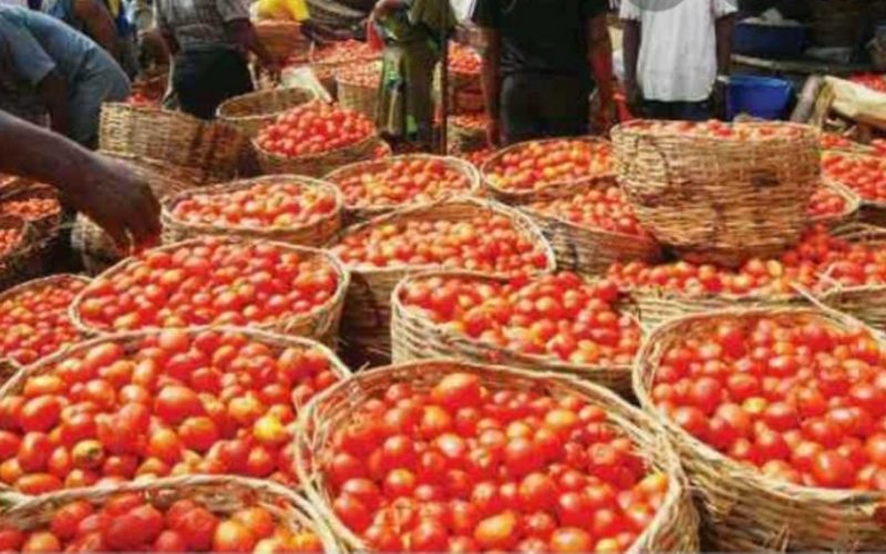 [VIDEO]Mile 12 Market: How food blockade affected prices of tomato, pepper, onion