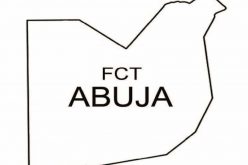 Indigenous plagiarism detection software launched in Abuja