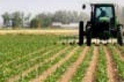 FG expresses confidence in Bayelsa’s agricultural potential to diversify economy