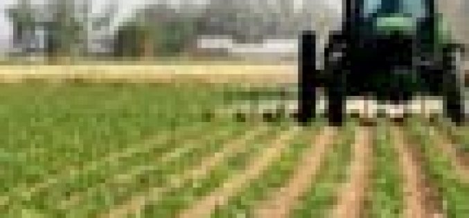 NDE trains 50 Delta youths in Agriculture 