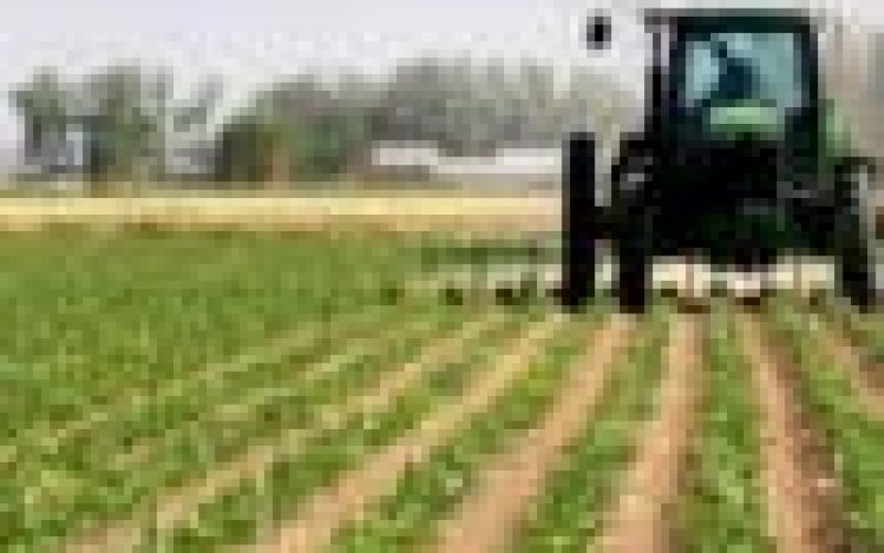 FG expresses confidence in Bayelsa’s agricultural potential to diversify economy
