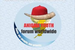 Delta LG polls: Vote candidates of your choice, AYF-W charges eligible voters 