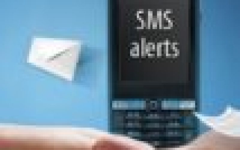 Woman in court for allegedly sending fake bank alert