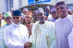 Food blockade: NEF disowns Baba-Ahmed’s statement, backs Gov Bello, Fani-Kayode’s intervention