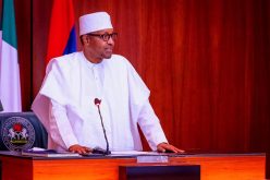 Buhari re-appoints Alex Okoh as BPE DG