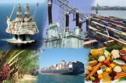 Nigeria, largest economy in Africa – UAE