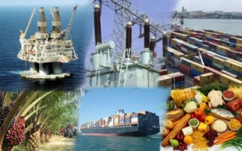 Nigeria, largest economy in Africa – UAE