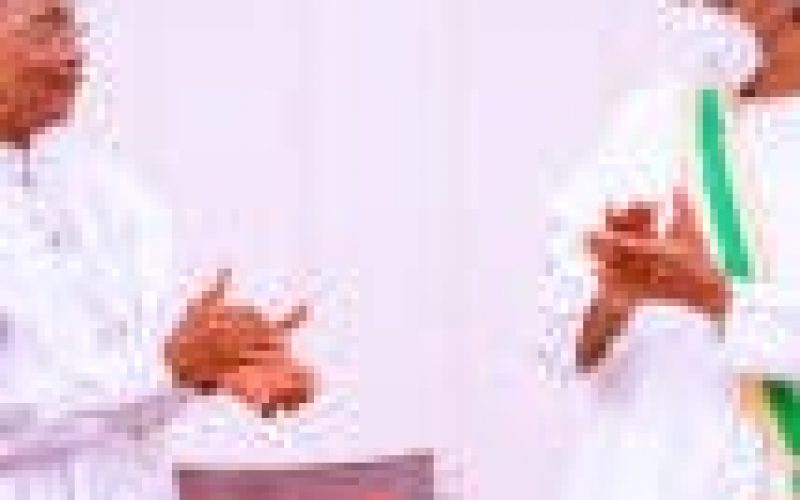 Niger Republic seeks to ease dependence on Nigeria with new power station