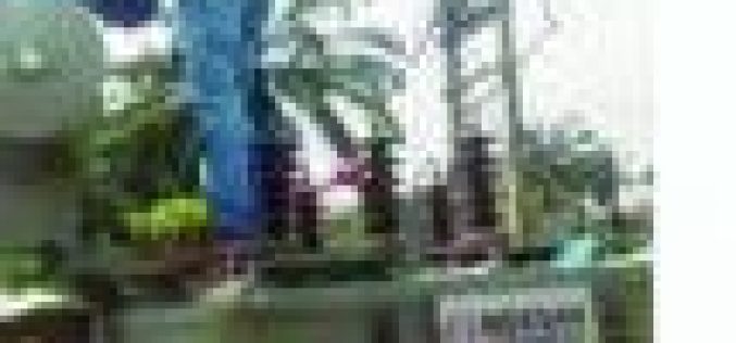 7 YEARS IN DARKNESS: Delta community cries out