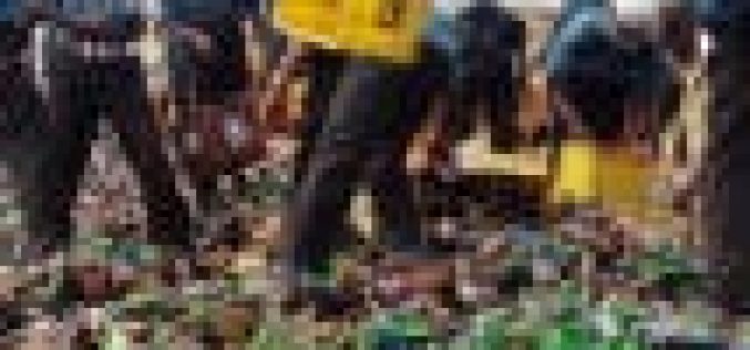 Jigawa: Hisbah confiscated 308 bottles of assorted alcoholic beverages