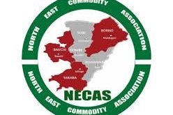 UNEMPLOYMENT: Nigeria in serious crisis, NECA warns