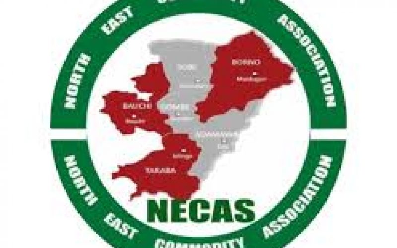 UNEMPLOYMENT: Nigeria in serious crisis, NECA warns