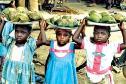 Kogi criminalises hawking by children during school hours