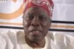 ‘99 Constitution can’t sustain us — Akintoye