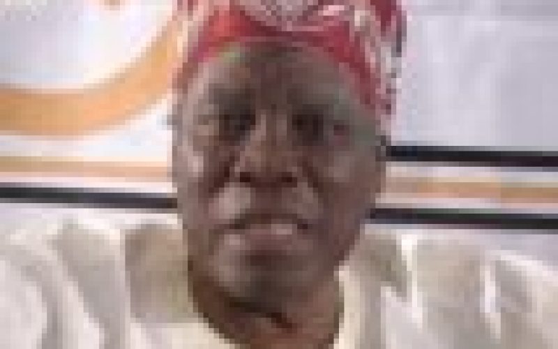 ‘99 Constitution can’t sustain us — Akintoye