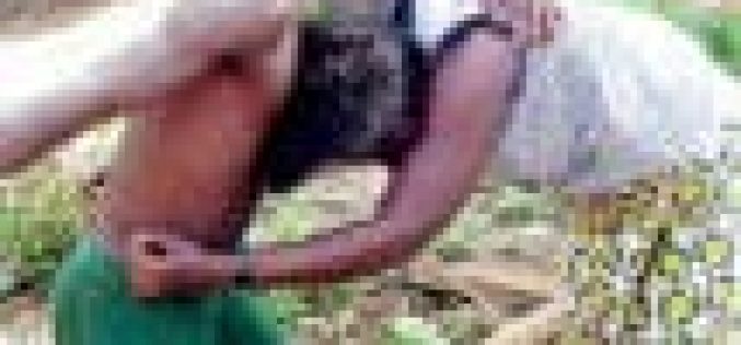 ’70 per cent of girls, women subjected to sexual, physical violence in Nigeria’
