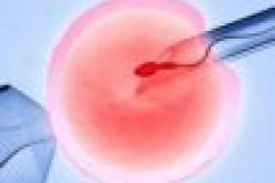 National Hospital delivers over 1,000 babies through IVF — CMD