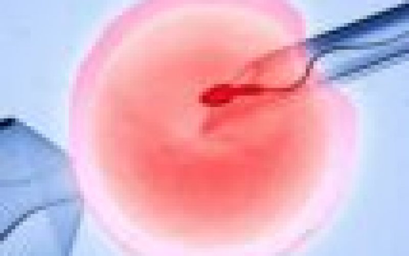 National Hospital delivers over 1,000 babies through IVF — CMD