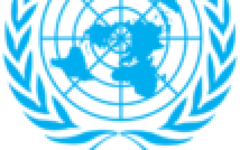 Around $1bn needed for Nigeria humanitarian crisis ― UN