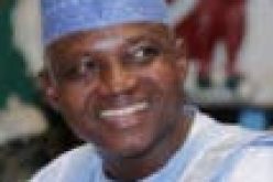 [Breaking] Insecurity: 6 Super Tucanos to arrive Nigeria in 4months — Presidency
