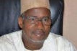 Bauchi govt to pay JAMB, NECO, other fees for students