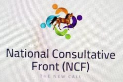 2023: NCFront raises merger committee for Mega party