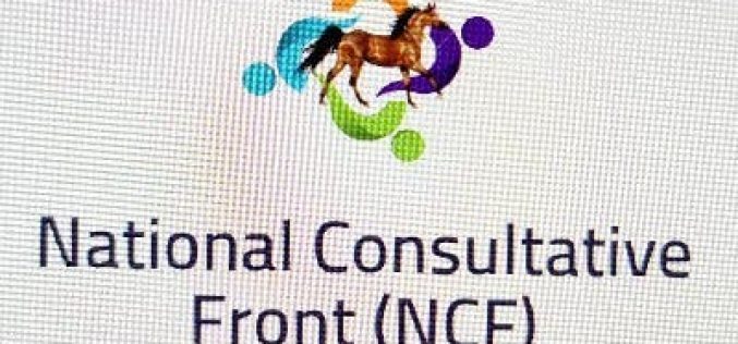 2023: NCFront raises merger committee for Mega party