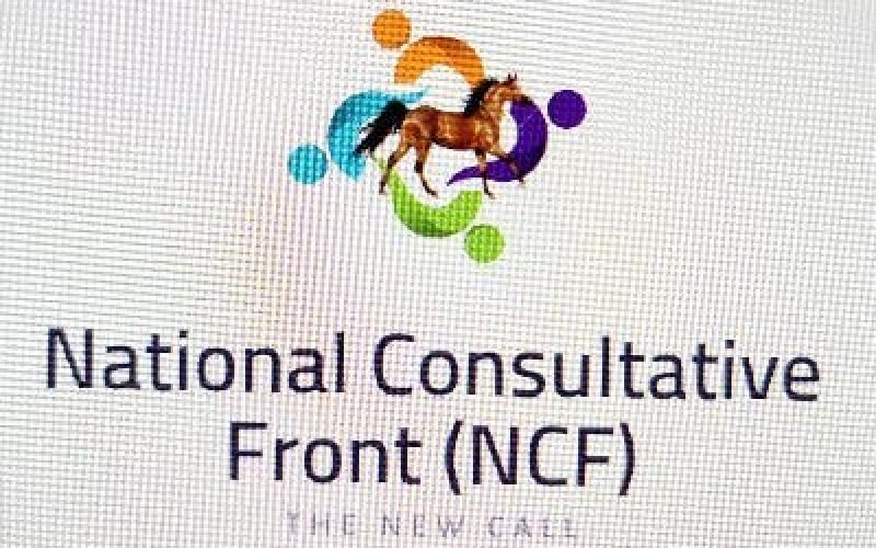 2023: NCFront raises merger committee for Mega party