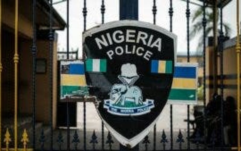 Unidentified gunmen kill 2 police officers in Enugu — PPRO