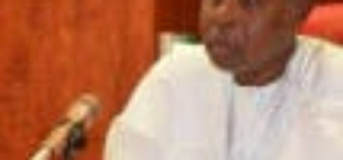 Bandits prevent cultivation of 50,000 hectares in Katsina State –  Masari