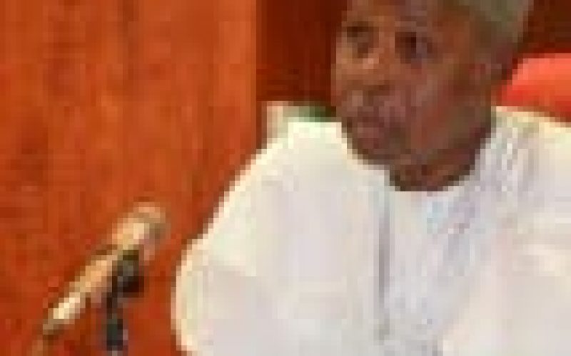 Bandits prevent cultivation of 50,000 hectares in Katsina State –  Masari