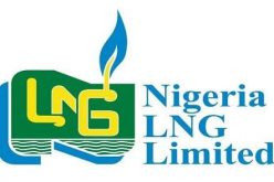 Nigeria’s gas resources would mean nothing if… – Attah