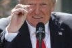 Trump plans social media return with own platform, adviser tells Fox News