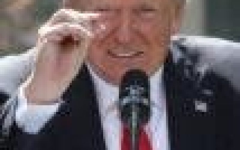 Trump plans social media return with own platform, adviser tells Fox News