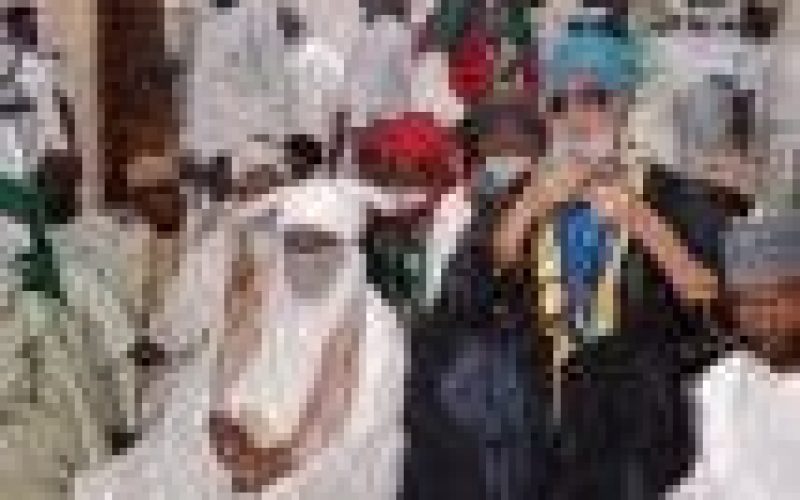Insecurity: Kano Emir, Etsu Nupe, Dahiru Bauchi lead Tijjaniyyas to pray for peace