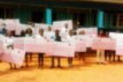 Group marks Ugwuanyi birthday with N3m scholarship award