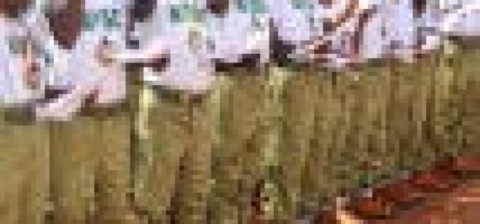 How leveraging on NYSC can create wealth for Nigerian graduates  — Ani 