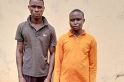 Herbalist, bricklayer arrested over killing of housewife for ritual